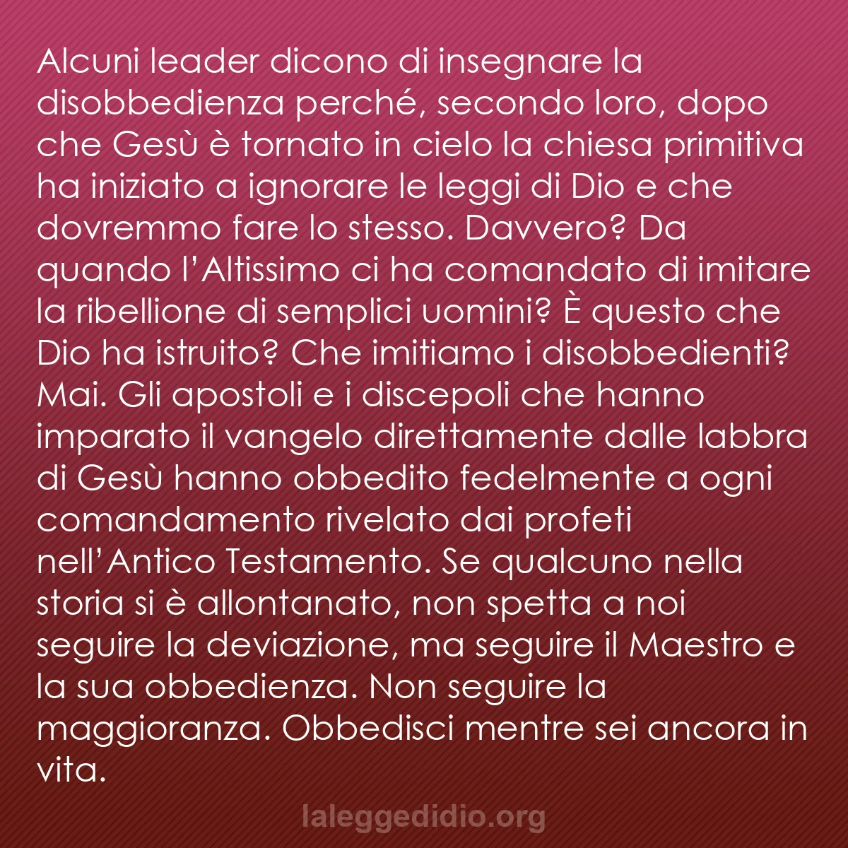 b0039 - Post sulla Legge di Dio: Alcuni leader dicono di insegnare la disobbedienza perché, secondo...