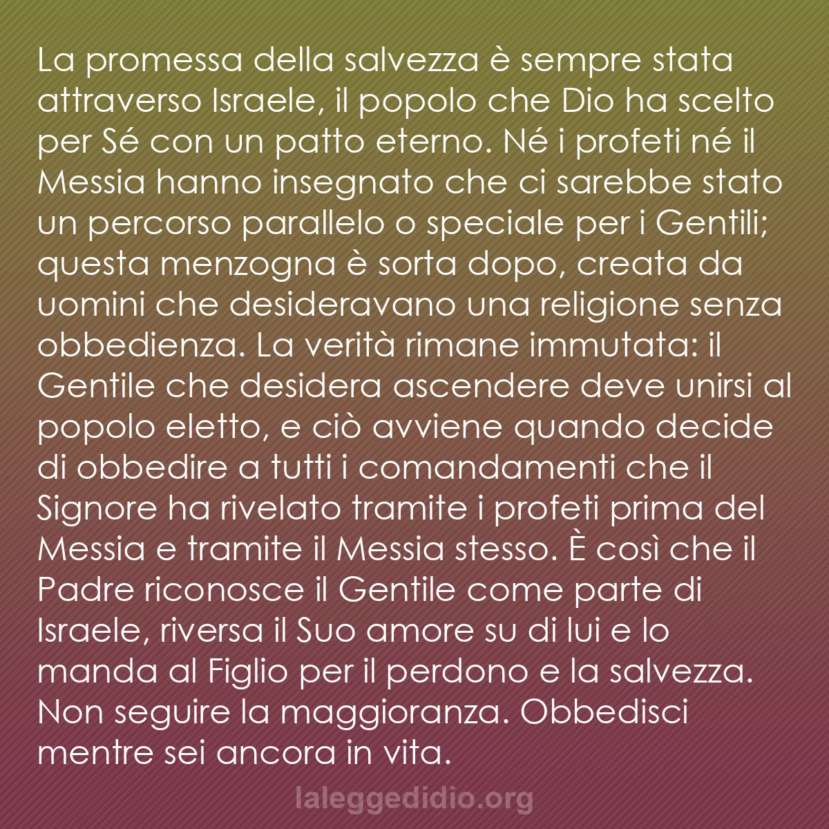 b0048 - Post sulla Legge di Dio: La promessa della salvezza è sempre stata attraverso Israele,...