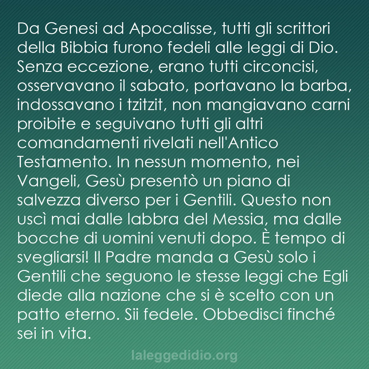 b0065 - Post sulla Legge di Dio: Da Genesi ad Apocalisse, tutti gli scrittori della Bibbia furono...