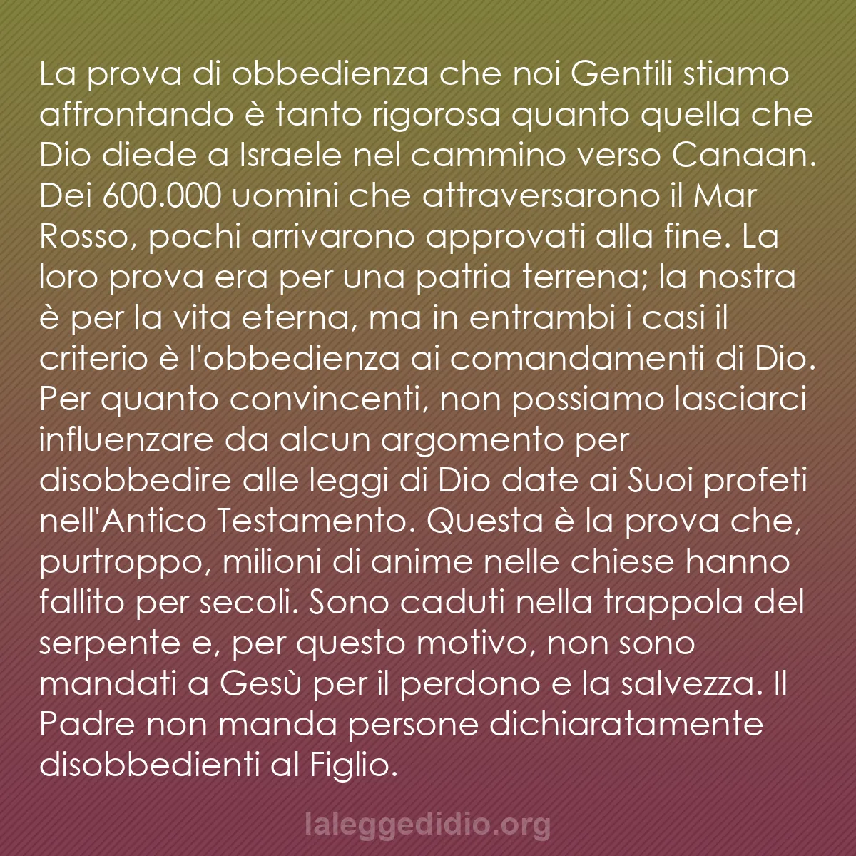 b0108 - Post sulla Legge di Dio: La prova di obbedienza che noi Gentili stiamo affrontando è...