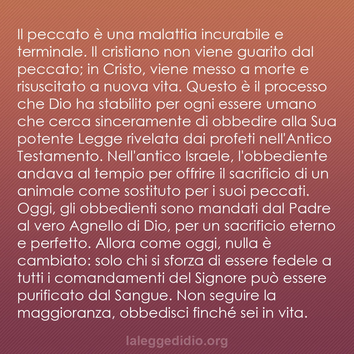 b0186 - Post sulla Legge di Dio: Il peccato è una malattia incurabile e terminale. Il cristiano...