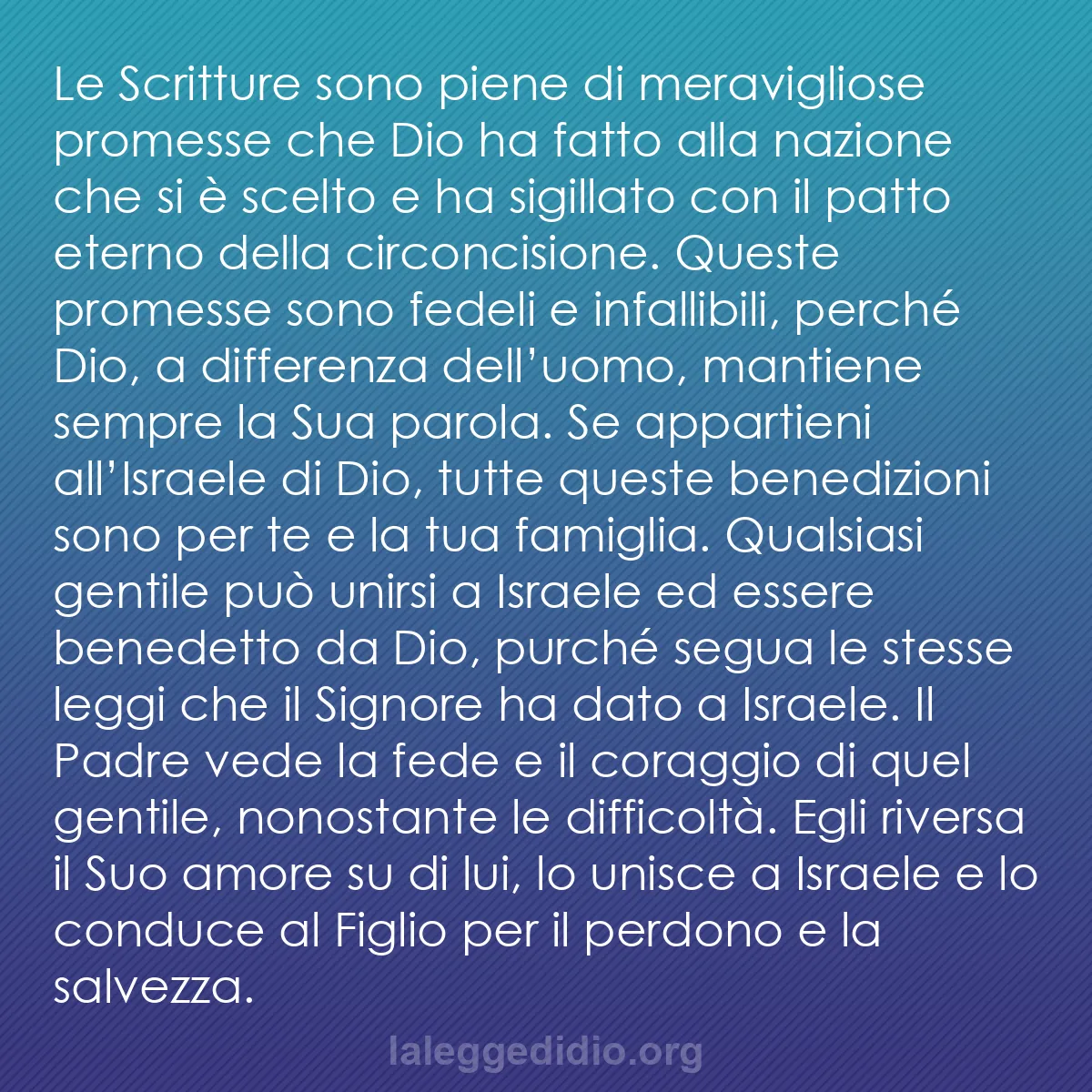 b0215 - Post sulla Legge di Dio: Le Scritture sono piene di meravigliose promesse che Dio ha...