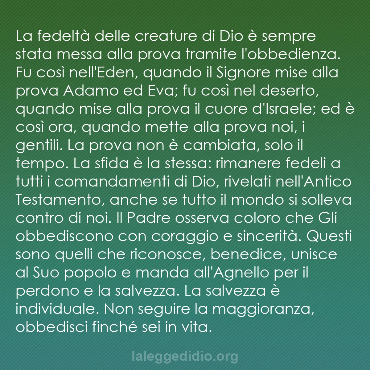 b0230 - Post sulla Legge di Dio: La fedeltà delle creature di Dio è sempre stata messa alla prova...