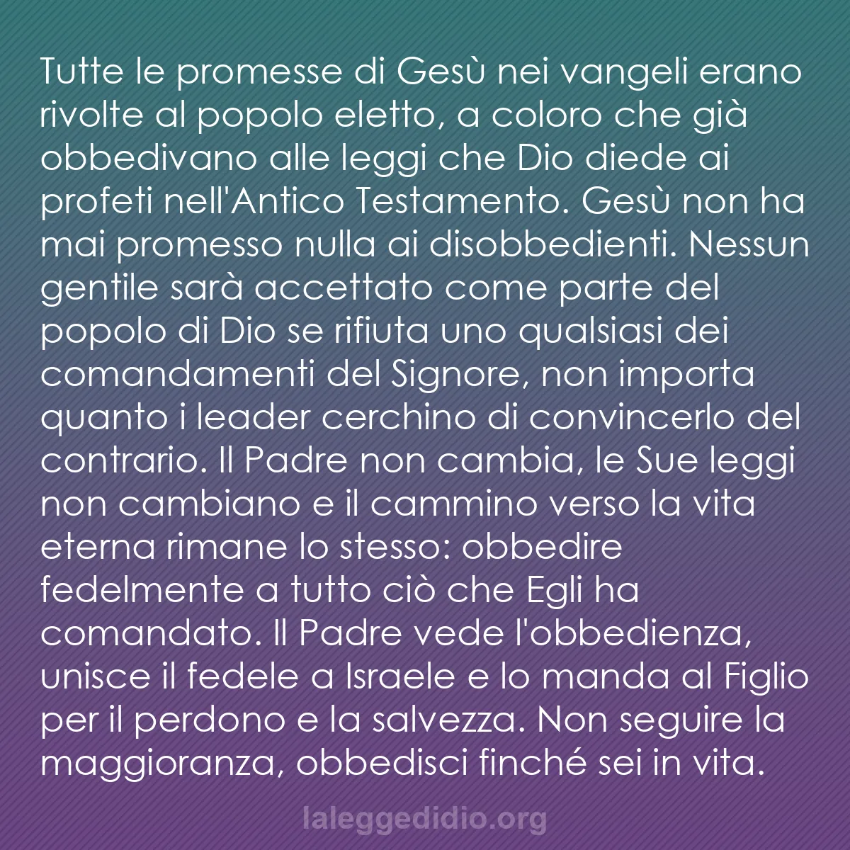 b0264 - Post sulla Legge di Dio: Tutte le promesse di Gesù nei vangeli erano rivolte al popolo...