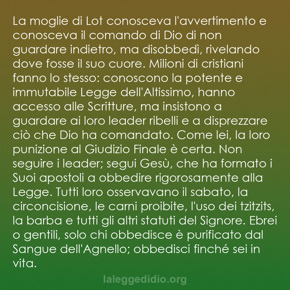b0276 - Post sulla Legge di Dio: La moglie di Lot conosceva l