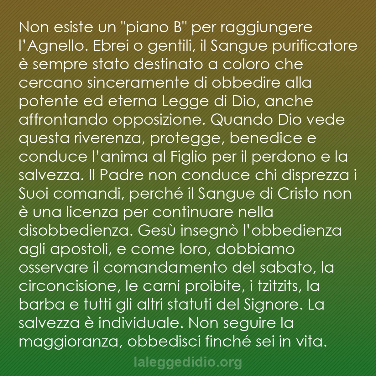 b0296 - Post sulla Legge di Dio: Non esiste un "piano B" per raggiungere l’Agnello. Ebrei o gentili,...