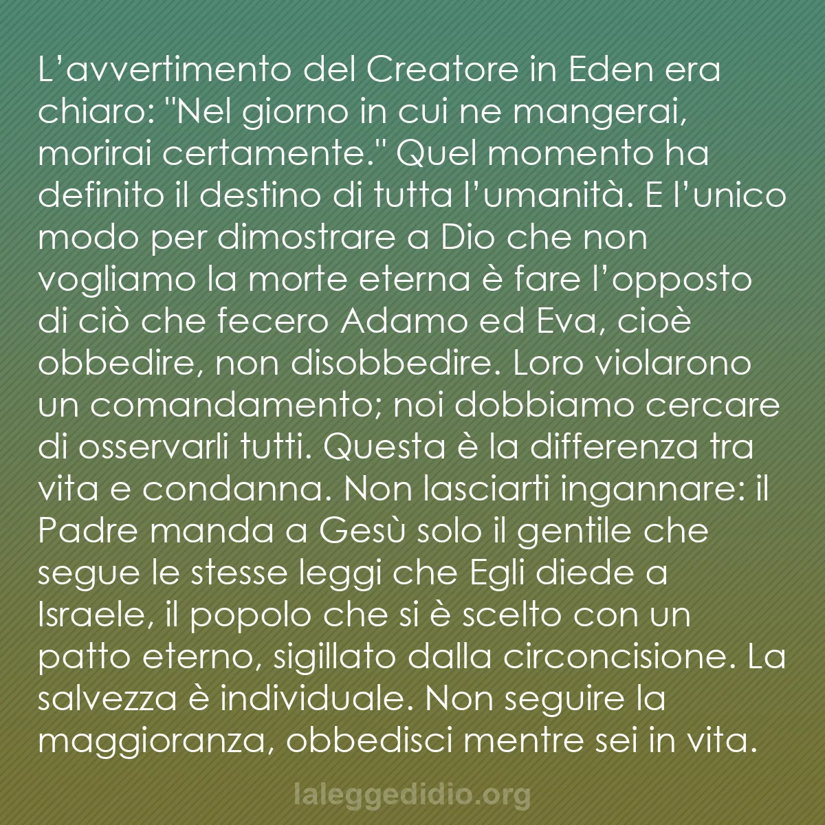 b0303 - Post sulla Legge di Dio: L’avvertimento del Creatore in Eden era chiaro: "Nel giorno...