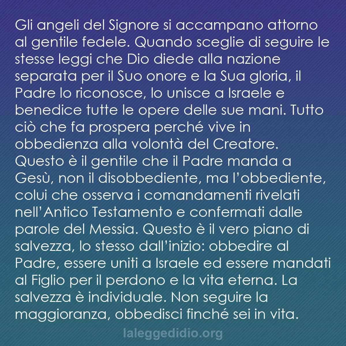 b0337 - Post sulla Legge di Dio: Gli angeli del Signore si accampano attorno al gentile fedele....