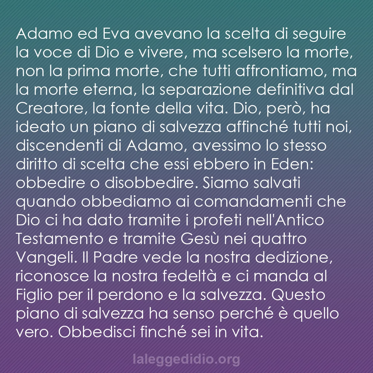 b0364 - Post sulla Legge di Dio: Adamo ed Eva avevano la scelta di seguire la voce di Dio e vivere,...