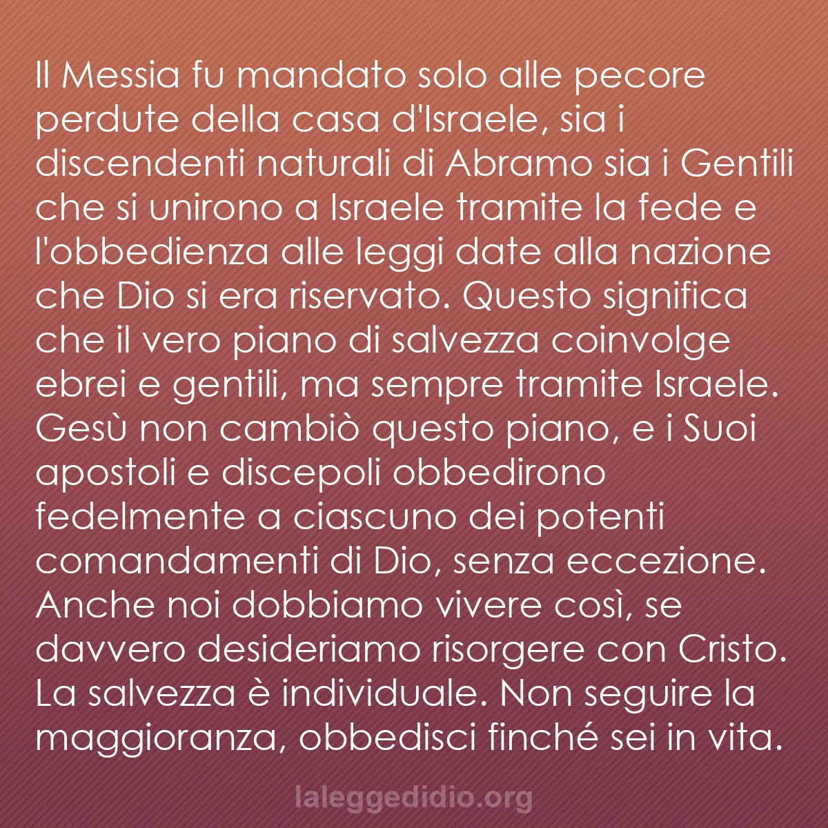 b0366 - Post sulla Legge di Dio: Il Messia fu mandato solo alle pecore perdute della casa d