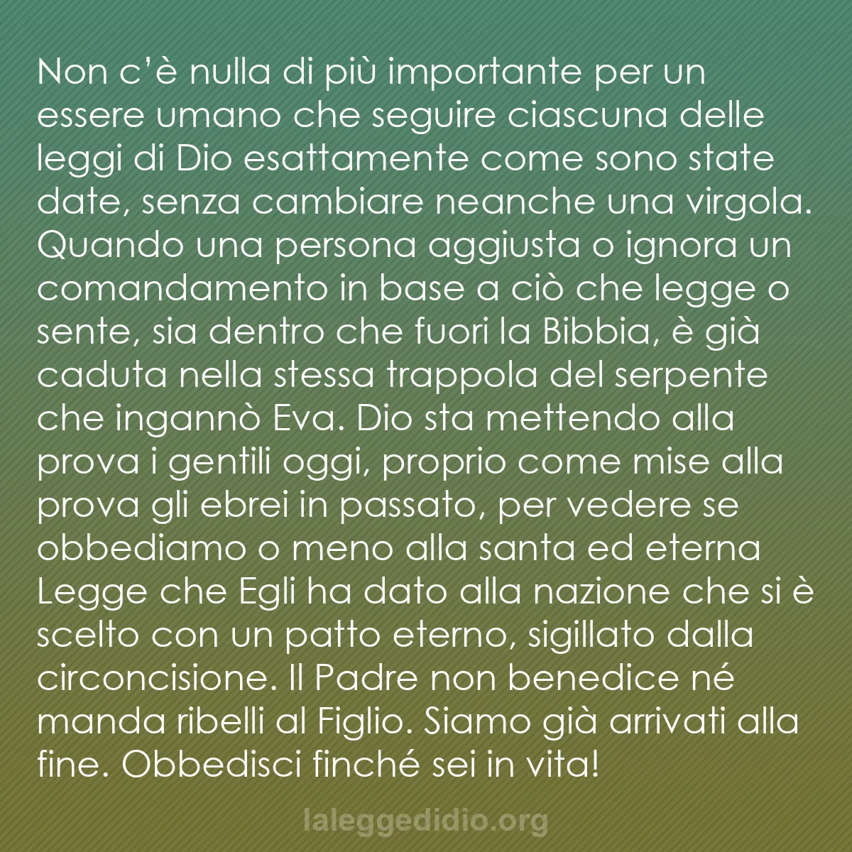 b0463 - Post sulla Legge di Dio: Non c’è nulla di più importante per un essere umano che seguire...