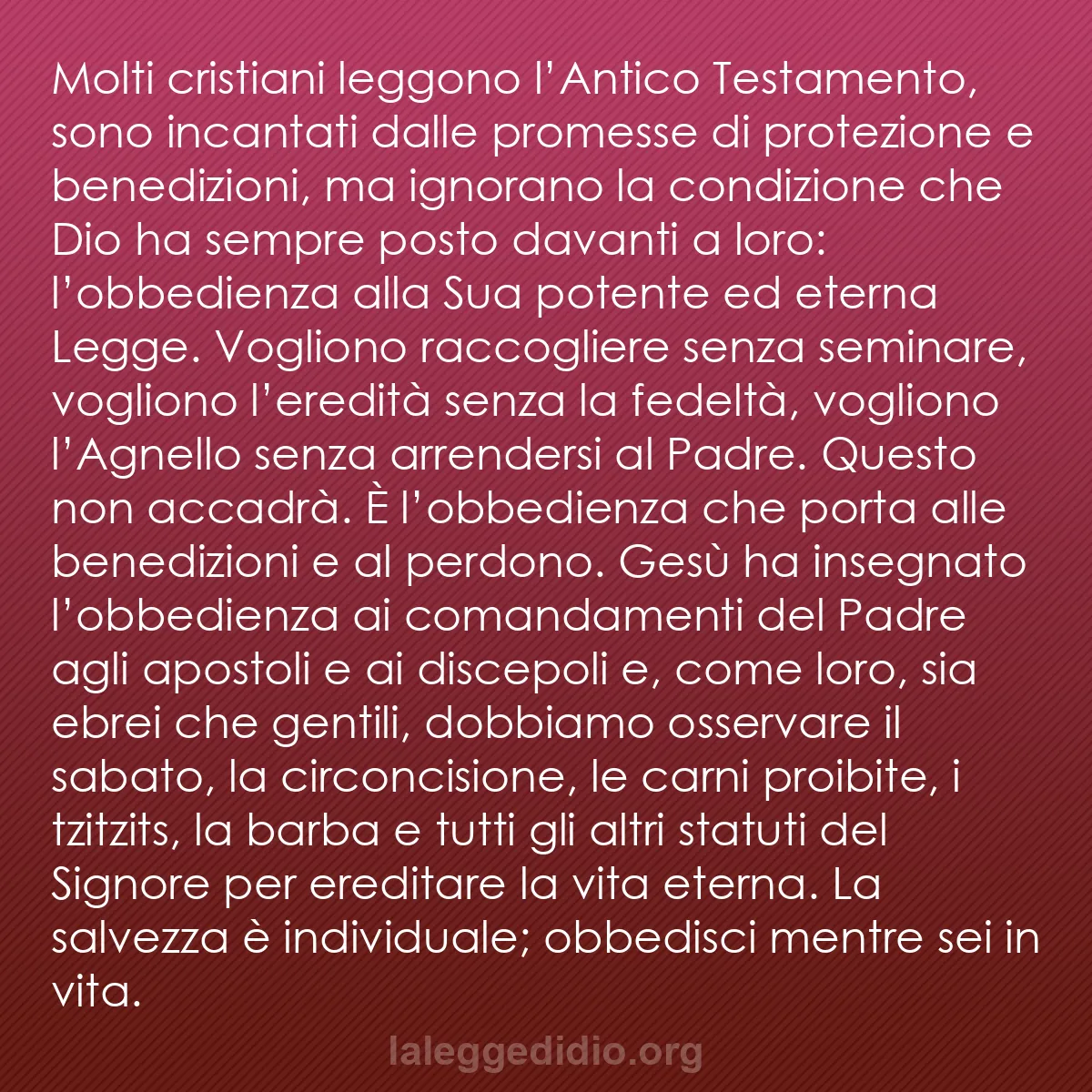 b0519 - Post sulla Legge di Dio: Molti cristiani leggono l’Antico Testamento, sono incantati...