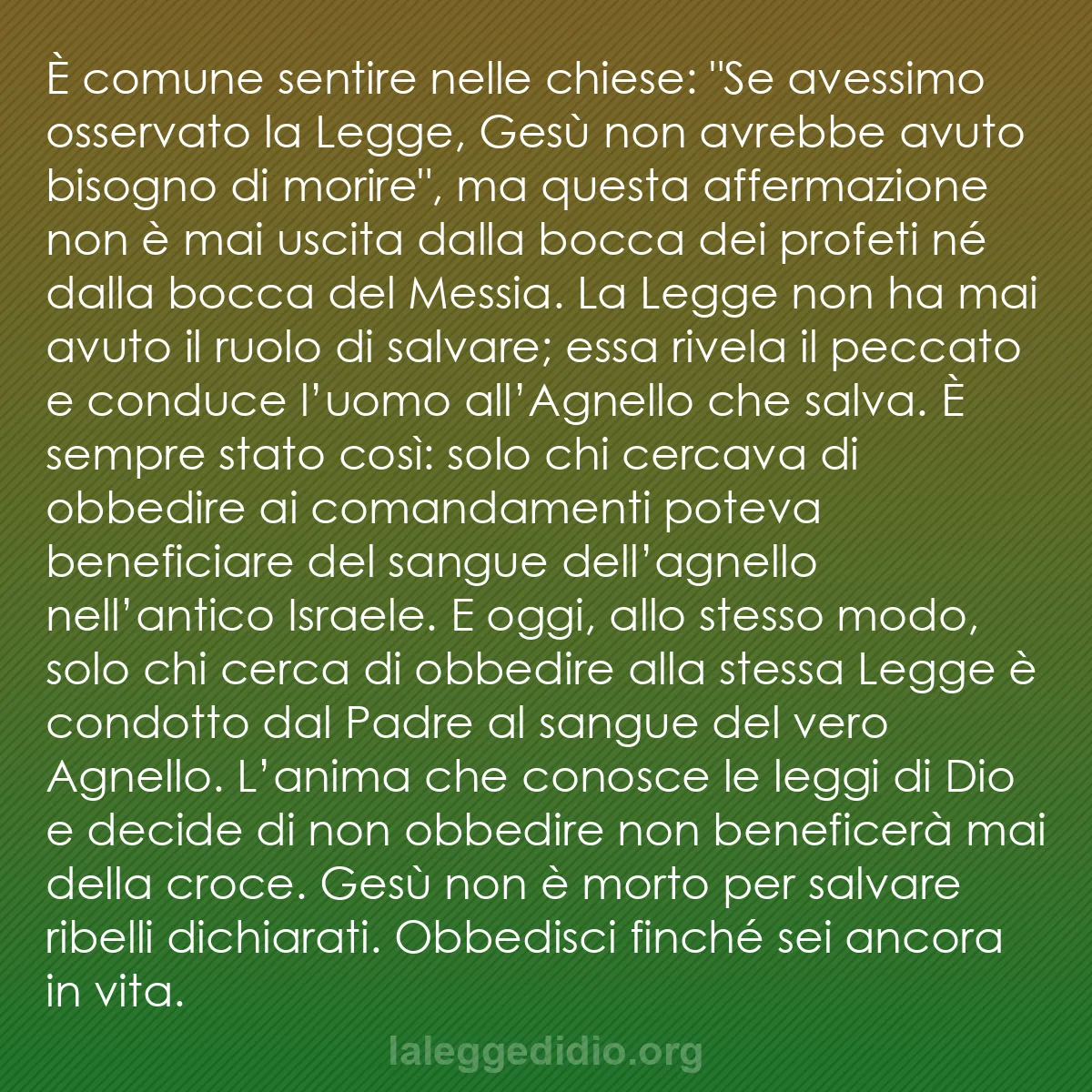 b0536 - Post sulla Legge di Dio: È comune sentire nelle chiese: "Se avessimo osservato la Legge,...