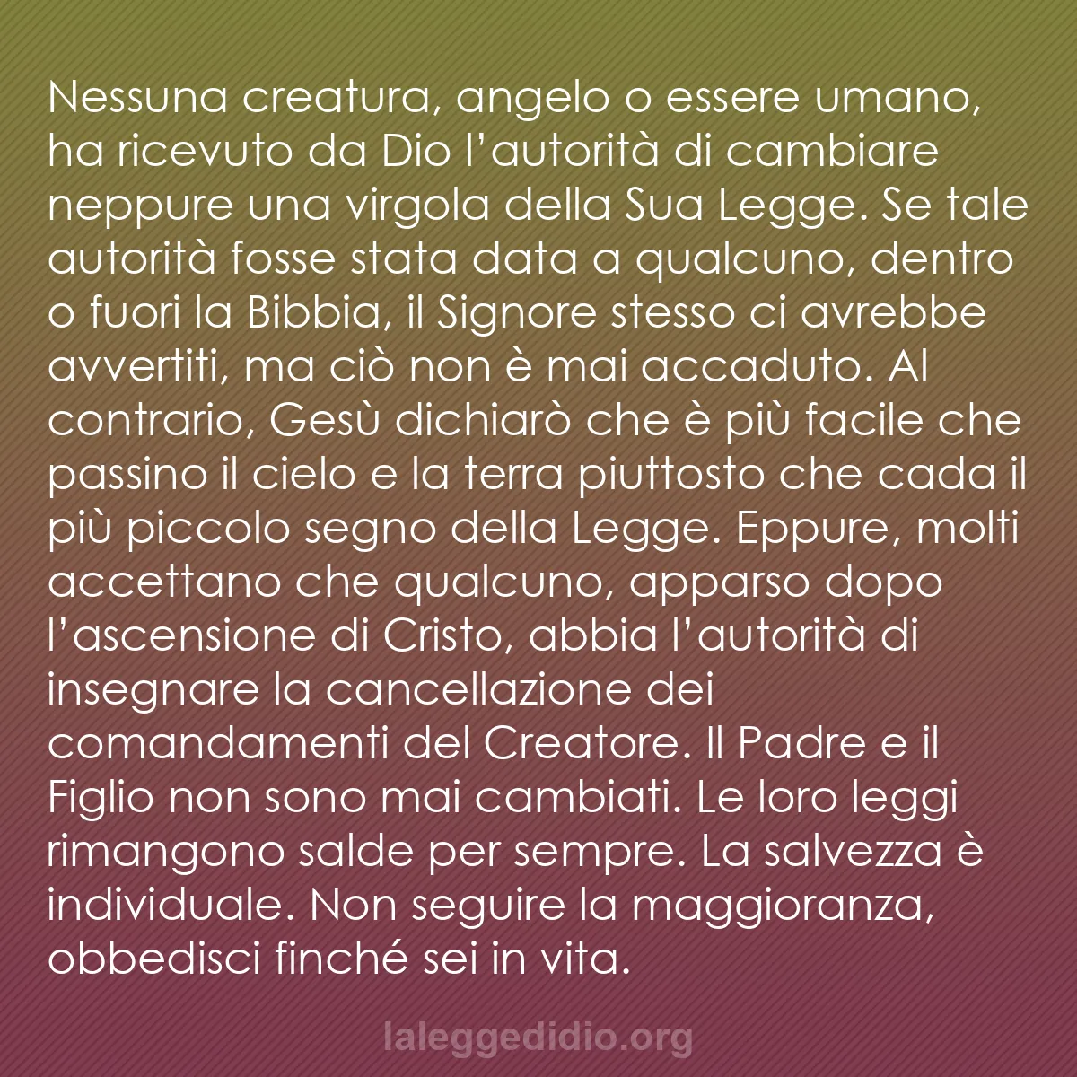 b0588 - Post sulla Legge di Dio: Nessuna creatura, angelo o essere umano, ha ricevuto da Dio...